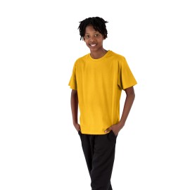 Phoenix Airtex T-Shirts
