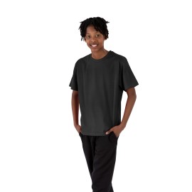 Phoenix Airtex T-Shirts